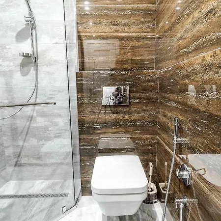 Apartment Inshiapartments On Hazova Str 3 *