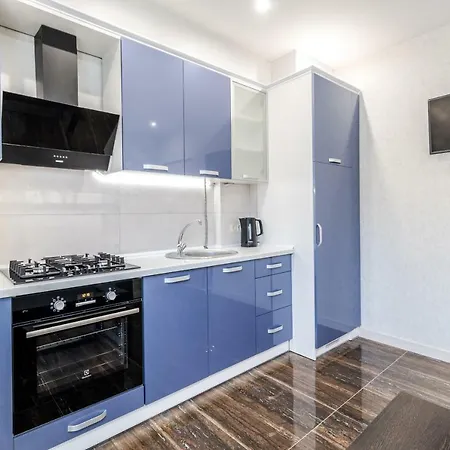 公寓 Inshiapartments On Hazova Str 3 利沃夫